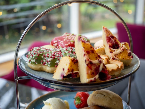 Plymouth's Ultimate Christmas Gift Guide