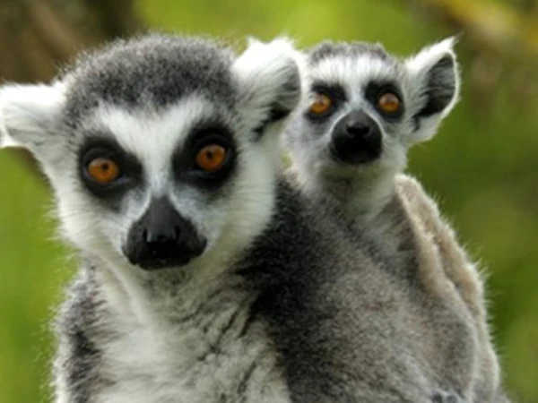 Things to do during Half Term 2025