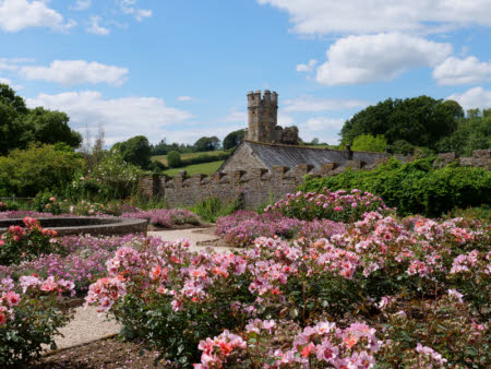 &copy;National Trust Images/Sarah Davis