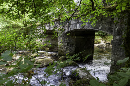 &copy;National Trust Images/Mel Peters